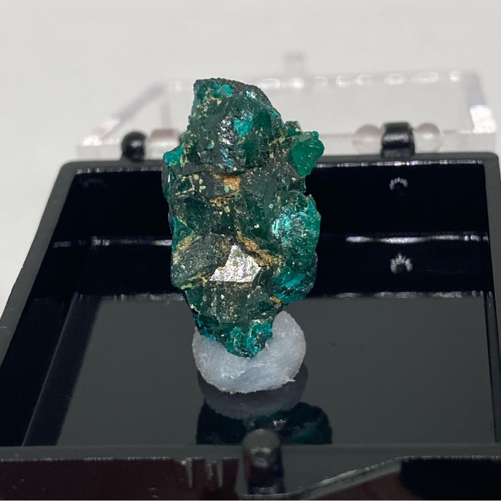 Dioptase in perky box, Republic of Congo Africa
